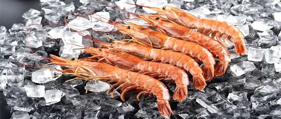 科普 | 科学选购冰鲜水产品的技巧