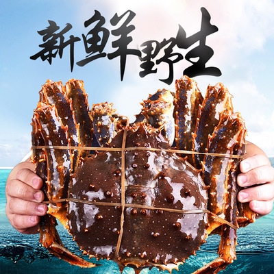 顺丰包邮3-3.5斤霸王蟹 进口阿拉斯加帝王蟹，冷冻水产美味直送