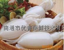 守护海洋之鲜 DMP水产品保鲜剂与虾鲜宝的应用与展望