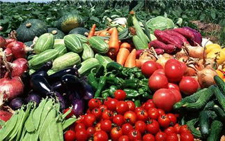 国内自产农产品质量总体安全可靠——水产品质量稳步提升