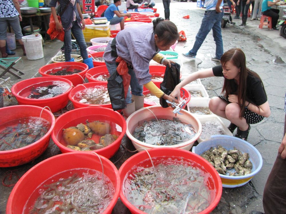 北海水产市场漫游记 活蹦乱跳的鲜美人间
