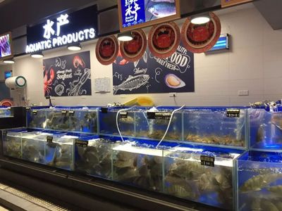 好好多超市鹤山广场分店年货大采集 水产品专区，新鲜选购，欢乐迎新春